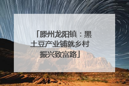 滕州龙阳镇：黑土豆产业铺就乡村振兴致富路
